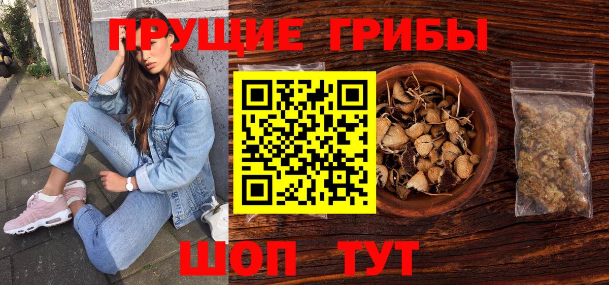 Светлоград  купить наркоту  Галлюциногенные грибы MAGIC MUSHROOMS  Вход с VPN  Псилоцибиновые грибы прущие грибы 